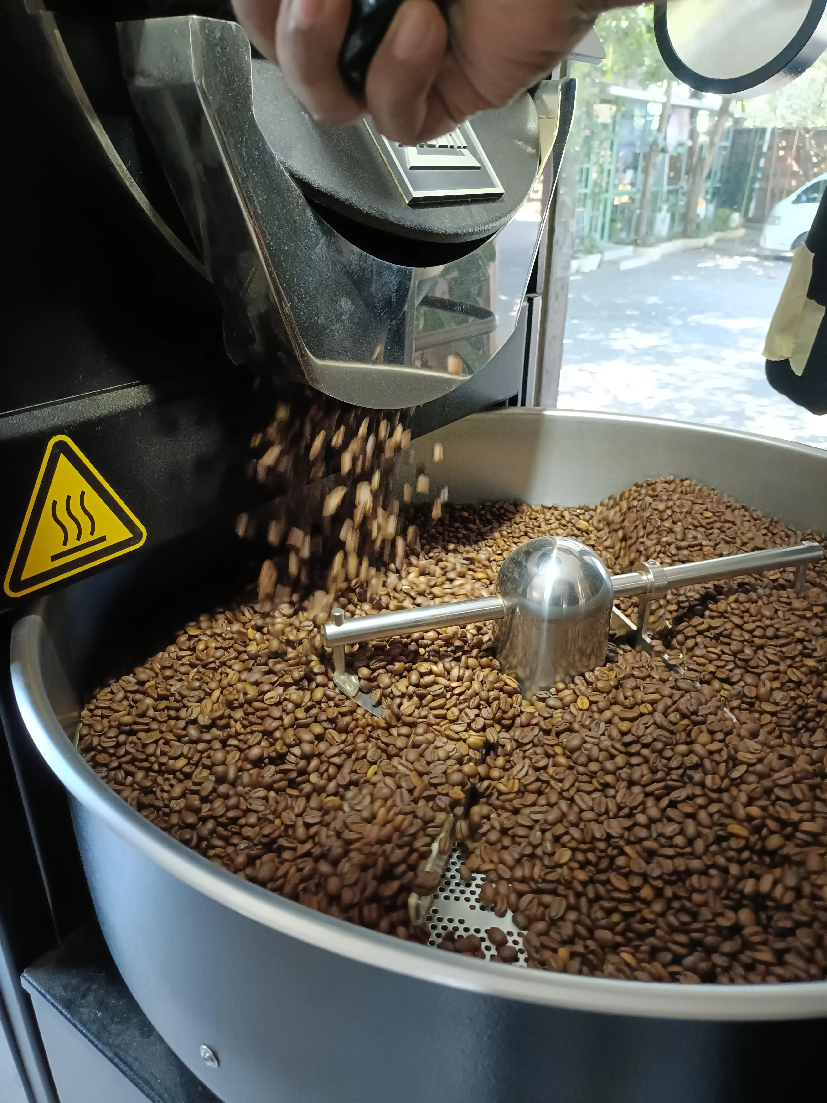 Freshly roasted coffee beans moving into the cooling tray